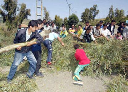 Un grupo de jóvenes bereberes traslada un tronco para bloquear una carretera al este de Argel.