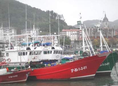 Embarcaciones típicas del puerto de Lekeitio en Euskadi