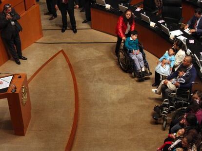 La senadora del PRI Cristina Díaz, el martes en el pleno de la cámara.
