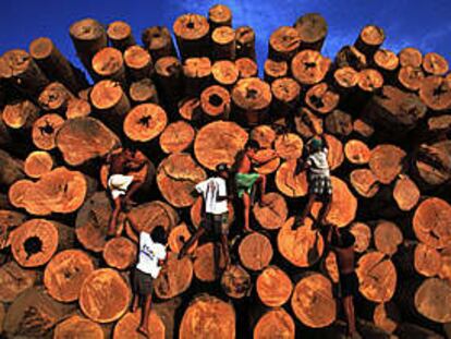Niños brasileños juegan en una pila de troncos de madera en la Amazonia.