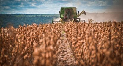 Colheitadeira em lavoura de soja no Mato Grosso.