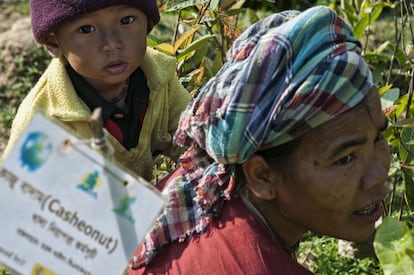 Una agricultora de Bandarban participa en un programa de formación para la diversificación de cultivos, una necesidad para proteger el medio ambiente que, sin embargo, requiere de una inversión que muchos no pueden acometer sin ayuda.