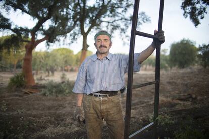 Climaco Ruiz, 58 años, empezó a descorchar en el año 1977.