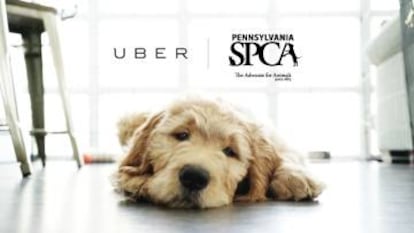 Campaña promocional para adoptar animales a través de la compañía Uber.