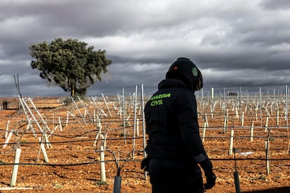 Un miembro del Seprona camina por el campo para encontrar cualquiera de los trucos que se usan para sobreexplotar el regadío. 