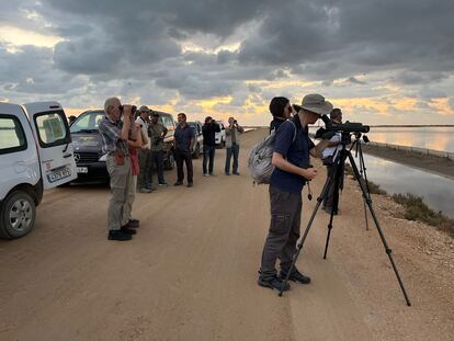 Invitados del Delta Birding Festival, pajareando.