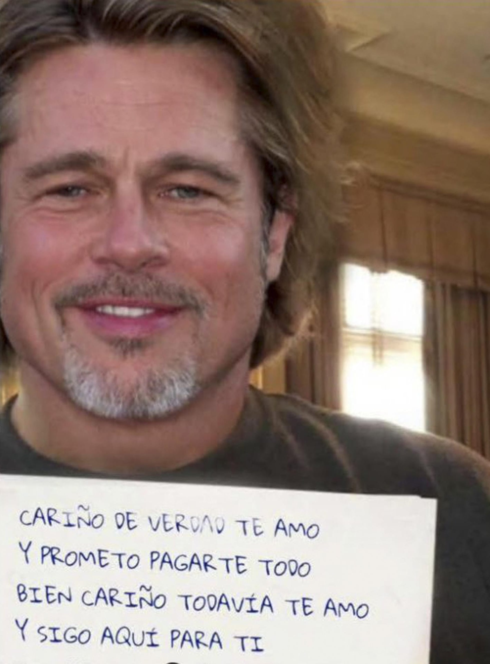 Un Brad Pitt de mentira estafa 170.000 euros a una mujer de Granada |  España | EL PAÍS