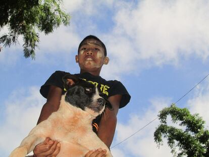 La escuela a la que acuden los niños no tiene ni siquiera paredes, está rodeada de animales, como perros y gallinas.