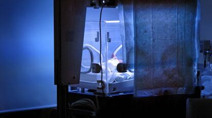 A baby in an incubator in the Gregorio Mara&ntilde;&oacute;n Hospital in Madrid.