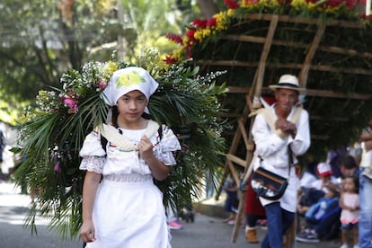 Los silleteritos son los herederos de una tradición que cumplen más de medio siglo.