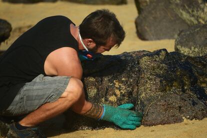 Um homem tenta retirar a substância preta que ficou grudada nas rochas da praia da Itapuama.