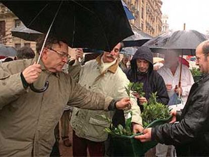 Miembros de Gesto por la Paz repartieron, ayer en Bilbao, esquejes de laurel como símbolo de la paz y en recuero de las víctimas.