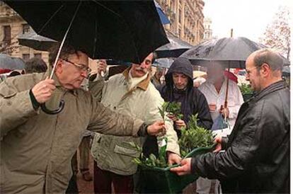 Miembros de Gesto por la Paz repartieron, ayer en Bilbao, esquejes de laurel como símbolo de la paz y en recuero de las víctimas.