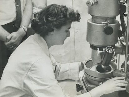 June Almeida trabalhando com um microscópio em 1956.