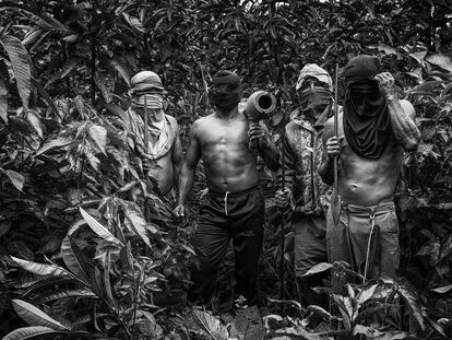 Indígenas en pie de guerra: la batalla por la Amazonia en Ecuador