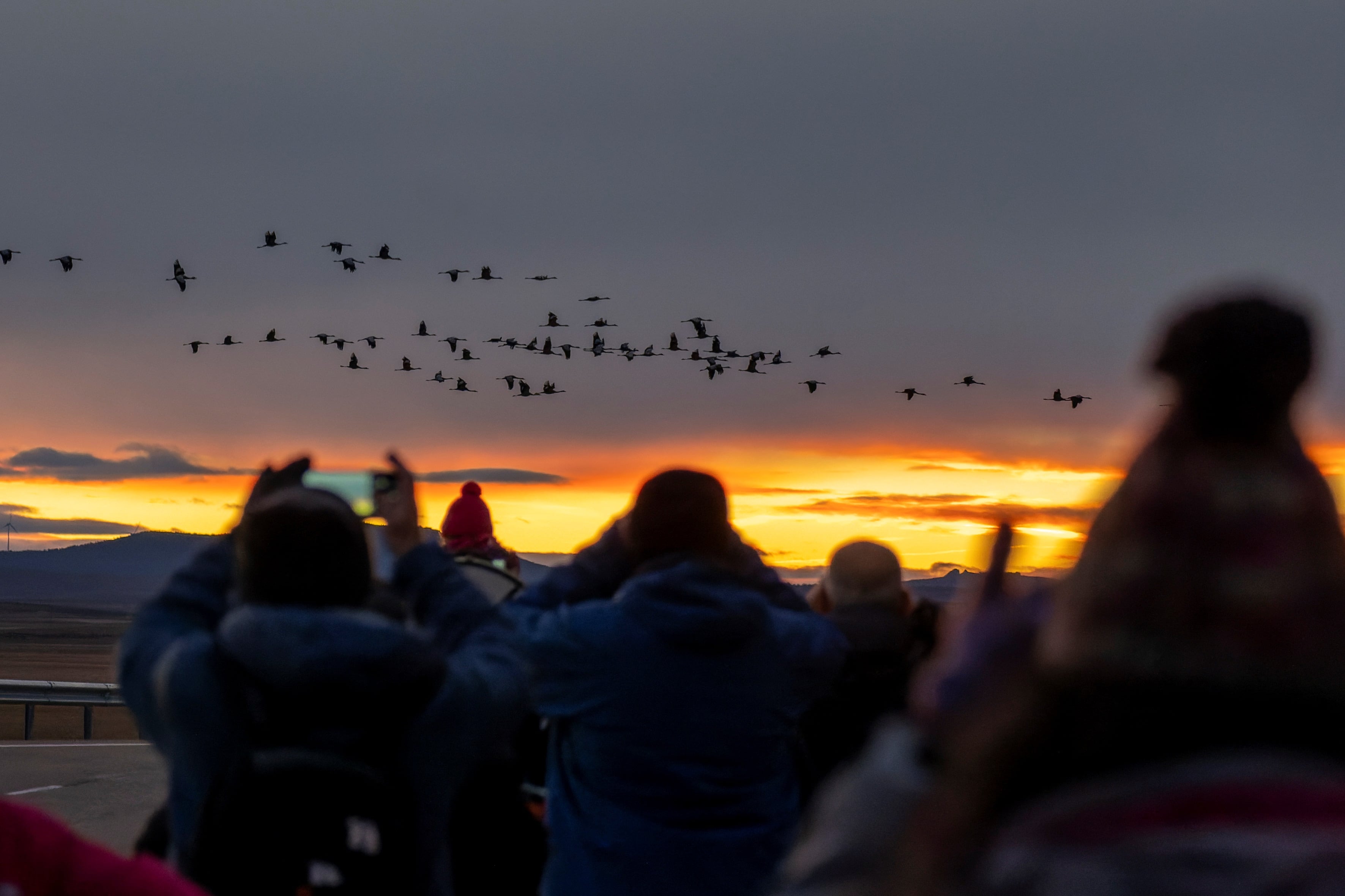 Un viaje con las grullas a la Laguna de Gallocanta