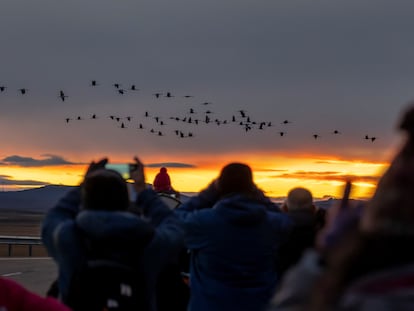 Laguna de Gallocanta Aragón