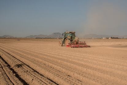 Un tractor levanta el polvo al su paso por un campo sin plantar de la región agrícola de El Campo de Cartagena.