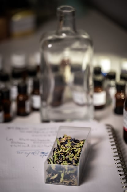 Una caja con 'Clitoria ternatea'.
