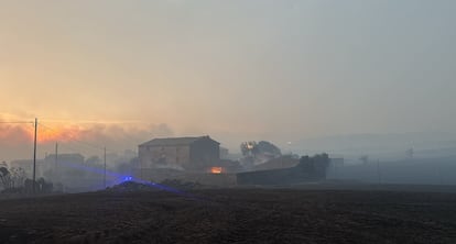 Fincas afectadas por el incendio de Torrefeta i Florejacs (Lleida).