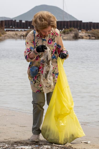 La reina Sofía participa como voluntaria en la limpieza ambiental de la playa de la caleta del Estacio, en el proyecto Libera contra la basura en la naturaleza, de la Sociedad Española de Ornitología. 