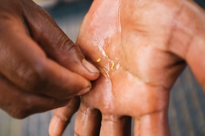 Barranquilleros [people from Baranquilla, Colombia] rescue the little gold that the Chinese companies have not already extracted from the Kaka river.