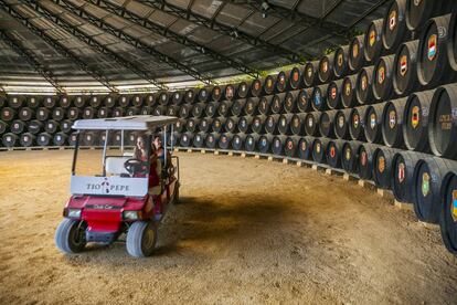 Instalaciones de la bodega Gonzalez Byass en Jerez.