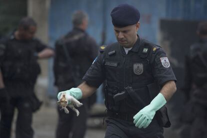 Un policía lleva un gatito que fue encontrado en una zona donde la policía contruye un puesto de control en el complejo Alemao tugurios, como parte de un refuerzo seguridad de la Unidad de Policía Pacificadora en Rio de Janeiro, Brasil.