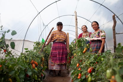 Guatemala