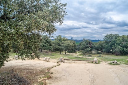 En El Pardo, justo antes de entrar en Madrid, el Manzanares aún es un río sorprendentemente natural. Ya no es el niño salvaje que brinca y berrea nada más nacer en la sierra de Guadarrama, pero todavía conserva un aire juvenil, sano y risueño. Así lo vamos a ver subiendo por su margen derecha desde el puente de los Capuchinos, en El Pardo. El sendero, muy sencillo y sin pérdida posible, porque discurre siempre al lado del río, nos va a llevar en una hora hasta la presa de El Pardo. Mirando a la derecha, hacia el Manzanares, descubriremos espléndidas alamedas y fresnedas, que el otoño pinta de vivo amarillo. Mientras que, mirando a la izquierda, tras la alambrada que protege la zona de reserva integral del monte de El Pardo, observaremos docenas de gamos triscando entre las encinas, cosa nada extraordinaria, pues hay miles de ellos y en esta época andan revueltos, de ronca que le dicen. 
(elpardo.es)

