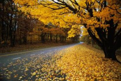 Una de las carreteras que permiten recorrer los paisajes del parque Nacional de Shenandoah, en Virginia.