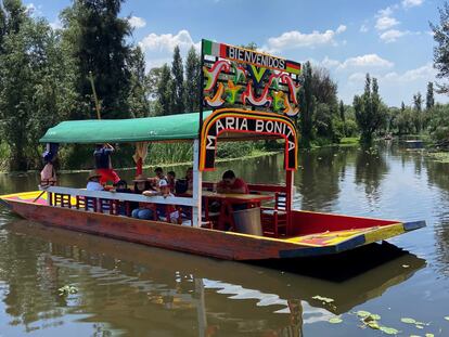 Una trajinera clásica entre chinampas de Xochimilco.     ----PIEFOTO----    Una trajinera navega por el lago Xochimilco, al sur de Ciudad de México.