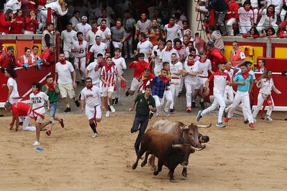 Los astados de La Palmosilla entran en la plaza de toros de Pamplona, al término del primer encierro de los sanfermines. 
