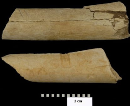 Dos huesos de mamífero hallados en Etiopía muestran huellas de corte (las más claras son las marcas paralelas en el de arriba a la izquierda) y de percusión.