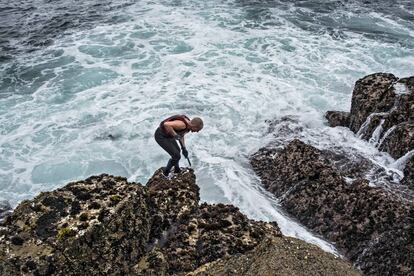 El percebeiro Domingo Méndez entre las rocas.