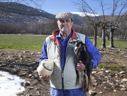 El ganadero Francisco Javier Colmenarejo elabora los quesos artesanos Santo Mamés en Navarredonda.