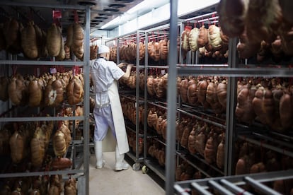 Un trabajador en el secadero de embutidos de Cal Rovira.