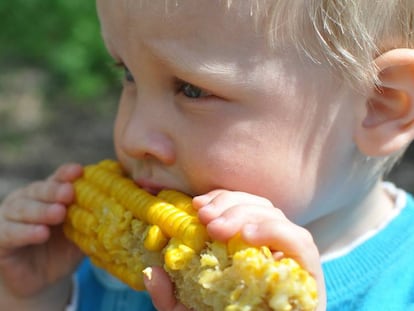 Os menores também podem comer sólidos não triturados.