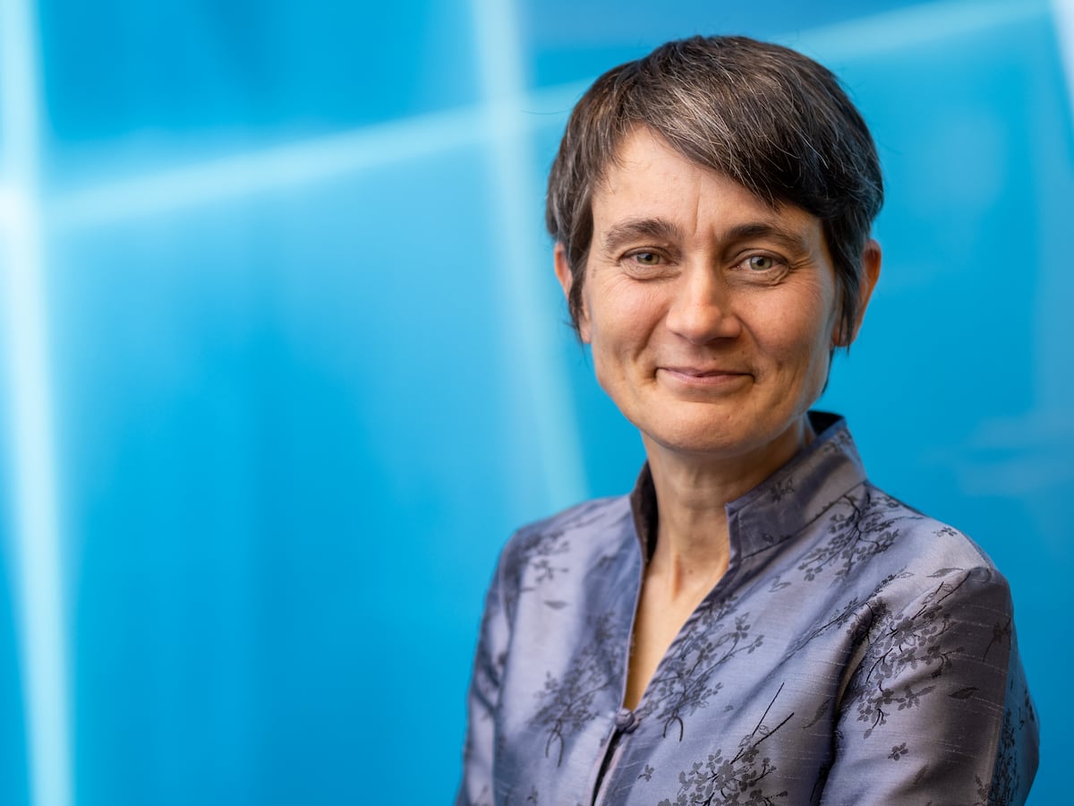 Marnie Hughes-Warrington, historiadora: “Nuestras fotos son material de archivo que las IA convertirán en historia” | Tecnología