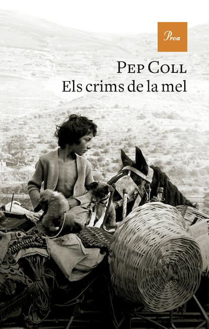 Coberta de 'Els crims de la mel' de Pep Coll.