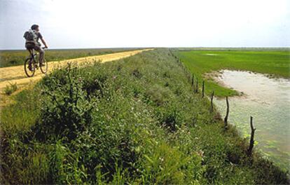 En 1998, la balsa que almacenaba los lodos tóxicos de una mina de la empresa sueca Boliden, en Aznalcóllar, reventó anegando el cauce del río. En la fotografía, el espacio, ahora recuperado, a la altura del brazo de la Torre.