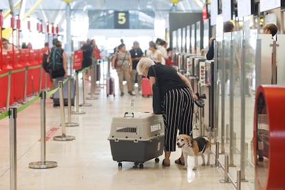 Una mujer con un perro en uno de los pasillos de la Terminal T4 del Aeropuerto Adolfo Suárez-Madrid Barajas, en una foto de archivo.