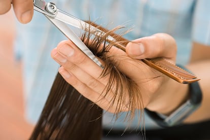 Para mantener el pelo sano, cuidado y bonito hay que pasar por la tijera.