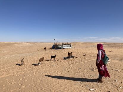 Fatu, una joven saharaui, mirando al horizonte en los campamentos de personas refugiadas en Tinduf (Argelia)