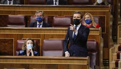 El presidente del PP, Pablo Casado, en el Congreso de los Diputados.