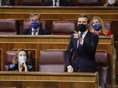 El president del PP, Pablo Casado, al Congrés dels Diputats.