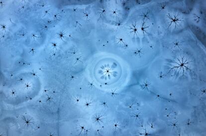 "Ice Magic" de Martin Mecnarowski, fotografía finalista de la categoría 'abstract'.