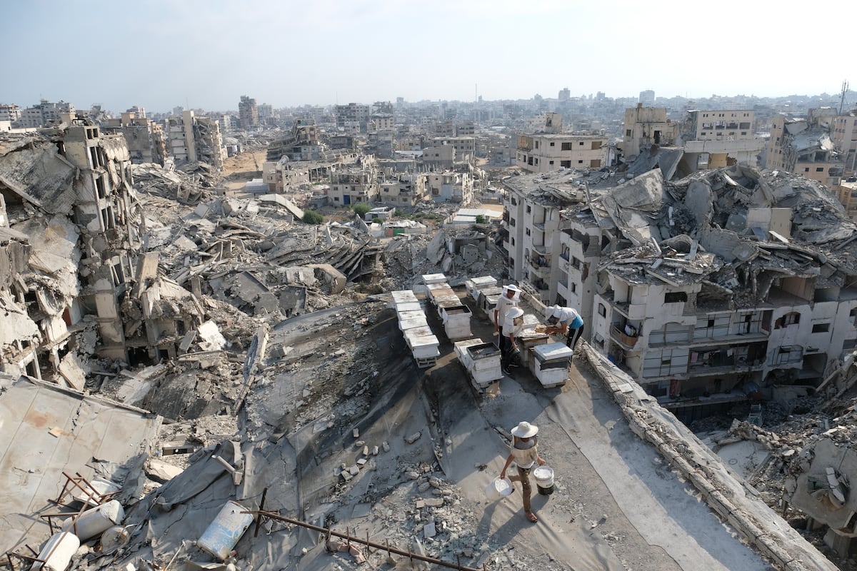Gaza bajo la tregua o la banalización del horror