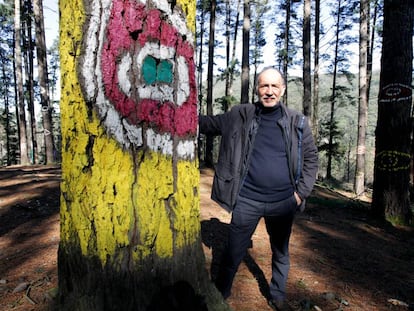 José Ibarrola, en el Bosque de Oma. 