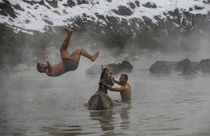 Dos jóvenes disfrutan de un baño caliente entre búfalos en Budakli, Turquía, el 24 de enero de 2019.